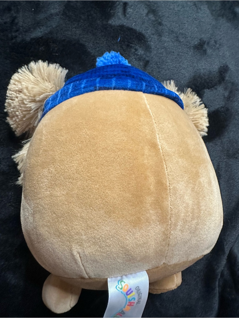 Squishmallow Plush Brown Bigfoot Blue Beanie Hat Stuffed Animal Cute Collectible - Picture 6 of 8